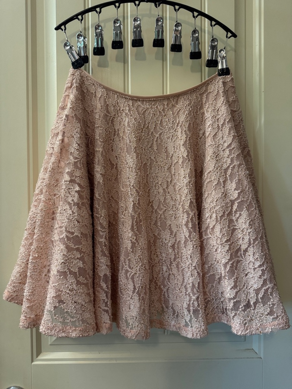 Lace A-Line Skirt in Blush Pink